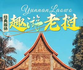 【趣游老撾 · 經(jīng)典版納】—昆明、普洱、西雙版納、磨丁、瑯勃拉邦四動(dòng)8日游